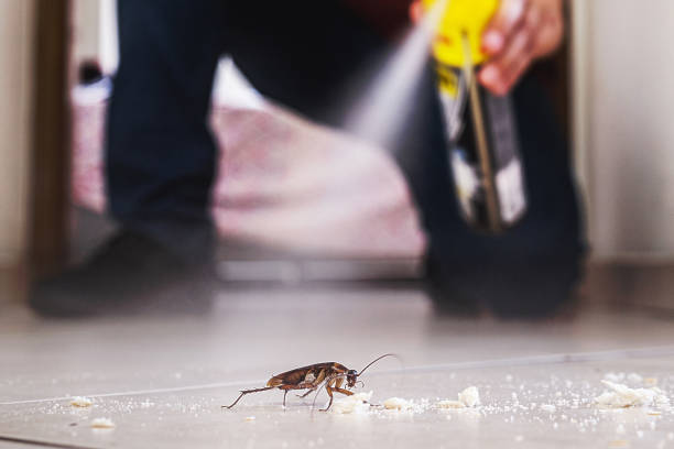 Pest Control for Restaurants in East Spencer, NC